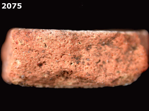 PANAMA BLUE ON WHITE specimen 2075 side view