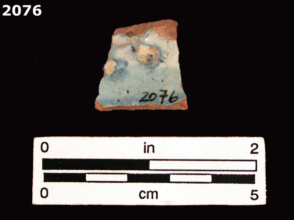 PANAMA BLUE ON WHITE specimen 2076 rear view