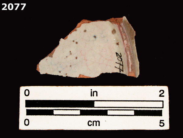 PANAMA BLUE ON WHITE specimen 2077 rear view