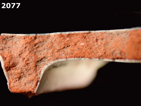 PANAMA BLUE ON WHITE specimen 2077 side view