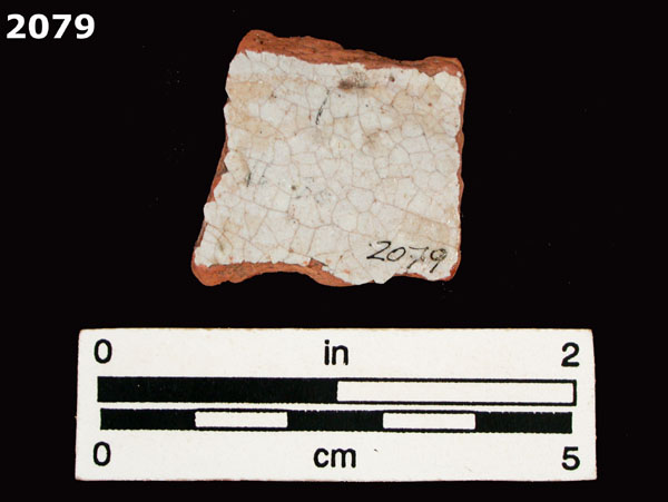 PANAMA BLUE ON WHITE specimen 2079 rear view