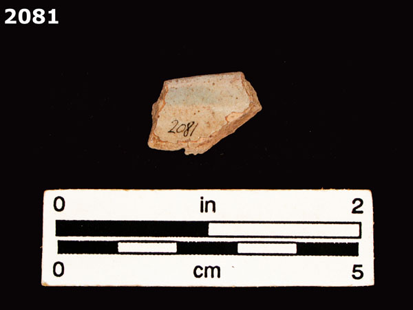 PANAMA BLUE ON WHITE specimen 2081 rear view