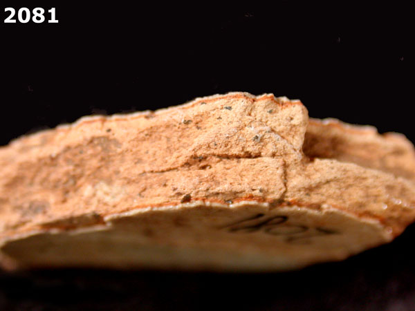 PANAMA BLUE ON WHITE specimen 2081 side view