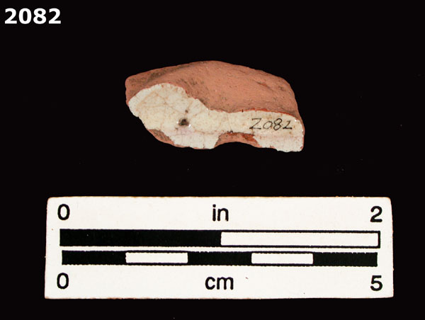 PANAMA BLUE ON WHITE specimen 2082 rear view