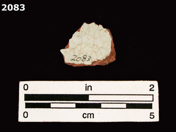 PANAMA BLUE ON WHITE specimen 2083 rear view