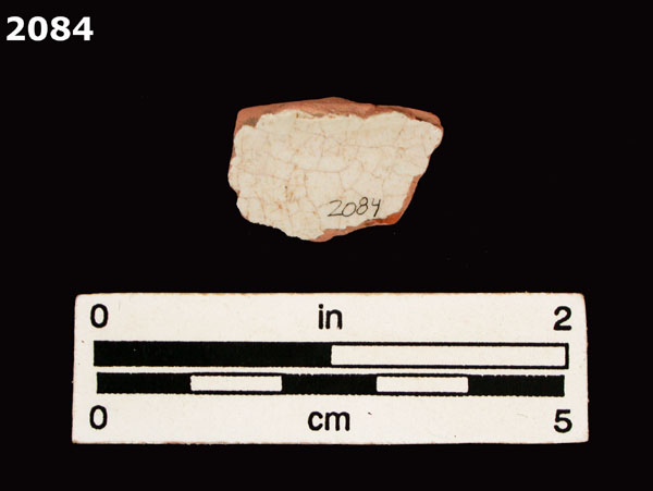 PANAMA BLUE ON WHITE specimen 2084 rear view