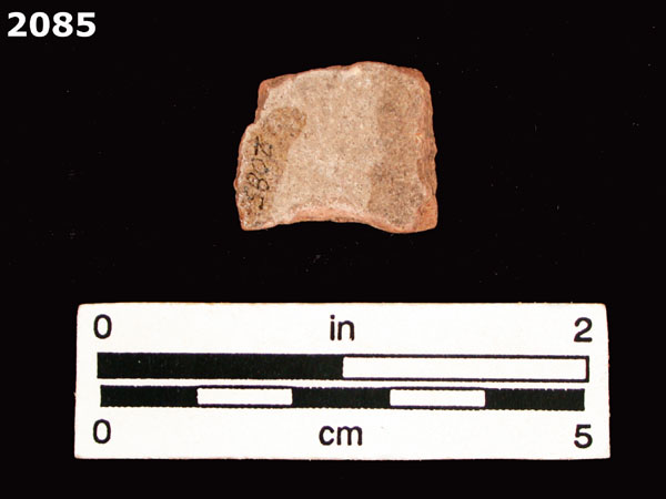 PANAMA BLUE ON WHITE specimen 2085 rear view