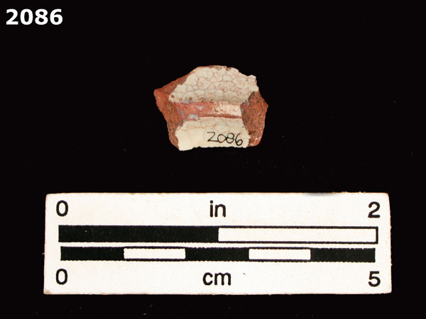 PANAMA BLUE ON WHITE specimen 2086 rear view