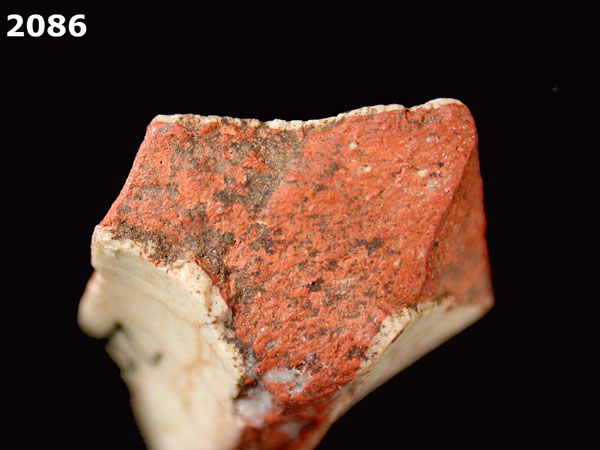 PANAMA BLUE ON WHITE specimen 2086 side view