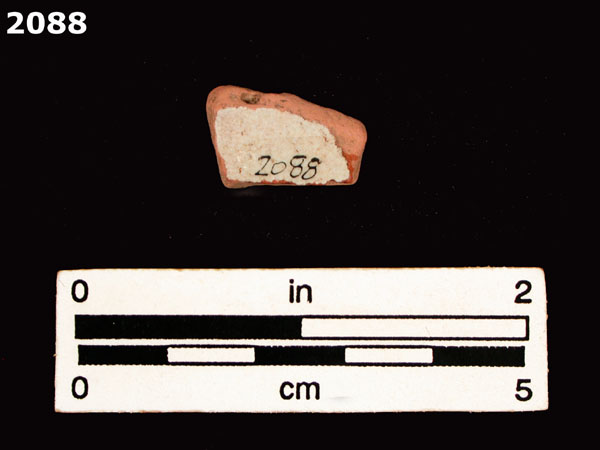 PANAMA BLUE ON WHITE specimen 2088 rear view