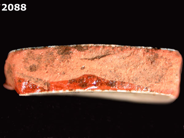 PANAMA BLUE ON WHITE specimen 2088 side view