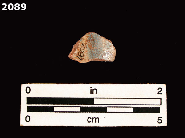 PANAMA BLUE ON WHITE specimen 2089 rear view