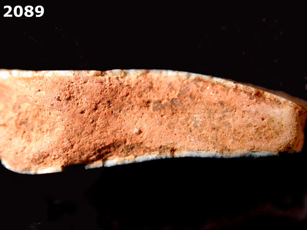 PANAMA BLUE ON WHITE specimen 2089 side view