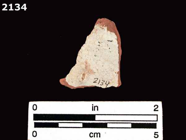 PANAMA POLYCHROME-TYPE A specimen 2134 rear view