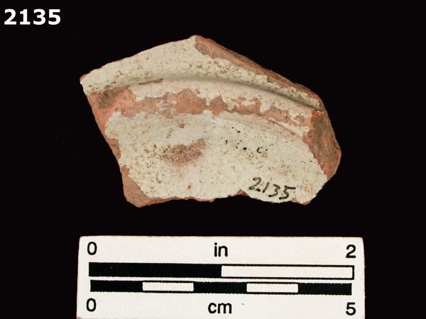 PANAMA POLYCHROME-TYPE A specimen 2135 rear view
