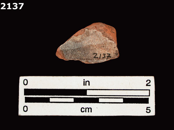 PANAMA POLYCHROME-TYPE A specimen 2137 rear view