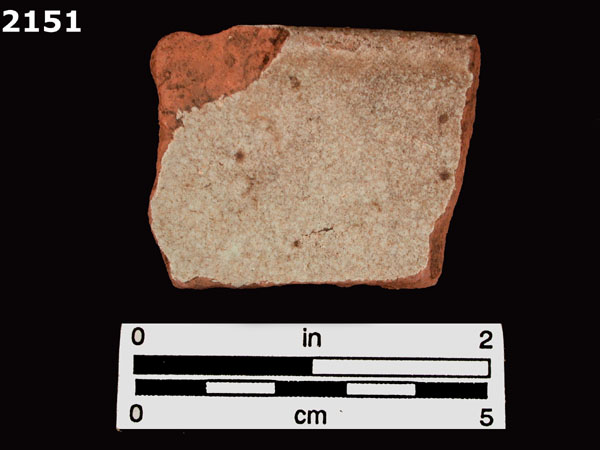 PANAMA PLAIN specimen 2151 