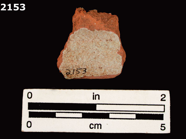 PANAMA PLAIN specimen 2153 rear view