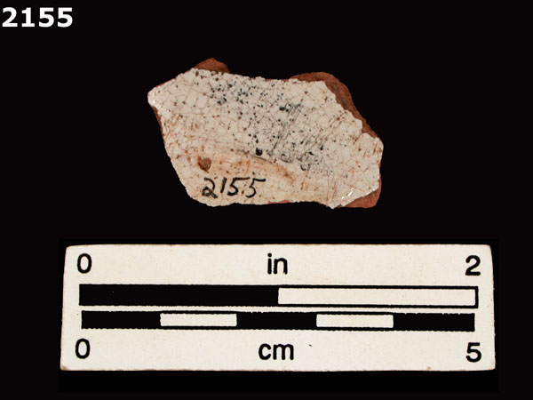 PANAMA PLAIN specimen 2155 rear view