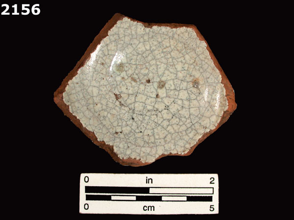 PANAMA PLAIN specimen 2156 