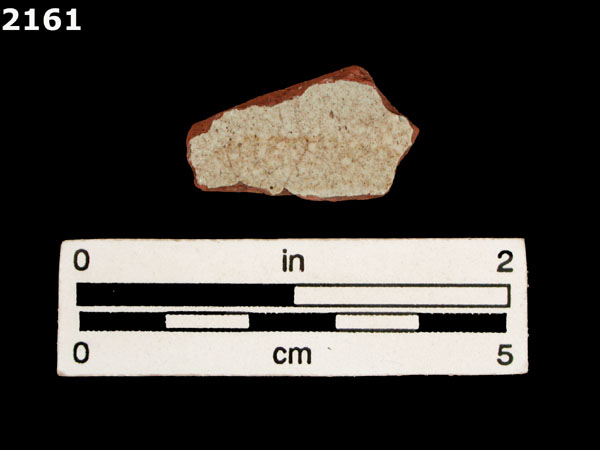 PANAMA PLAIN specimen 2161 