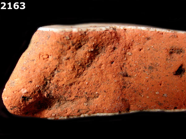 PANAMA PLAIN specimen 2163 side view