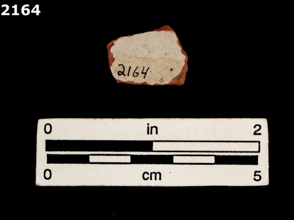 PANAMA PLAIN specimen 2164 rear view