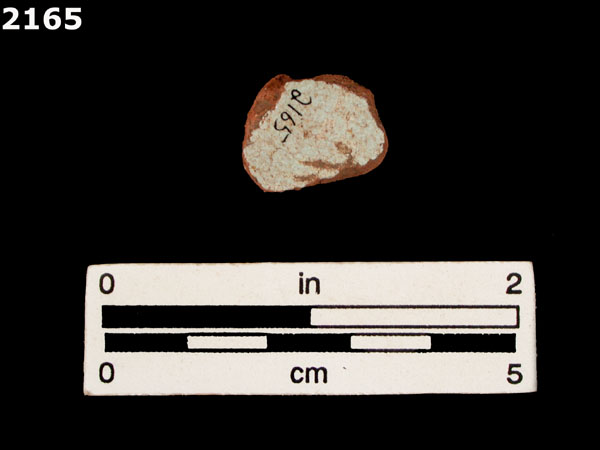 PANAMA PLAIN specimen 2165 rear view