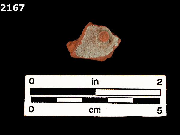 PANAMA PLAIN specimen 2167 