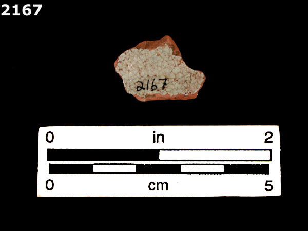 PANAMA PLAIN specimen 2167 rear view