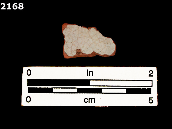 PANAMA PLAIN specimen 2168 