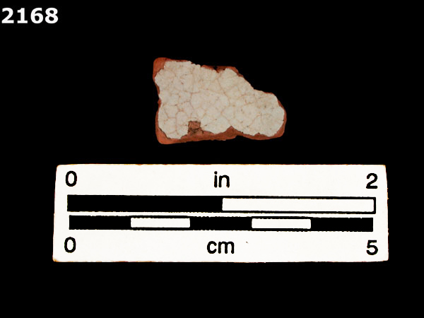 PANAMA PLAIN specimen 2168 front view