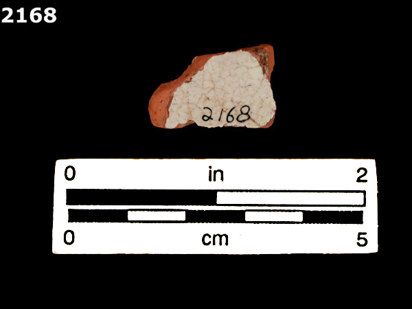 PANAMA PLAIN specimen 2168 rear view