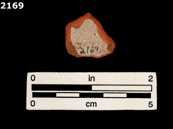 PANAMA PLAIN specimen 2169 rear view