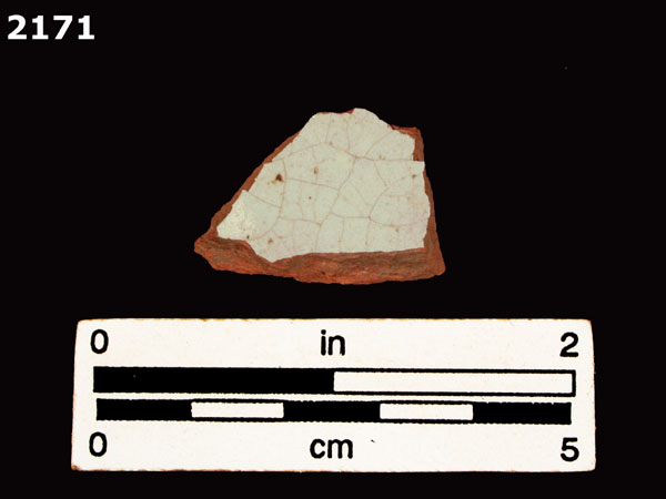 PANAMA PLAIN specimen 2171 