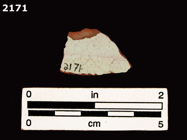 PANAMA PLAIN specimen 2171 rear view