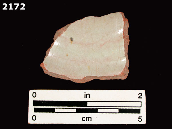PANAMA PLAIN specimen 2172 