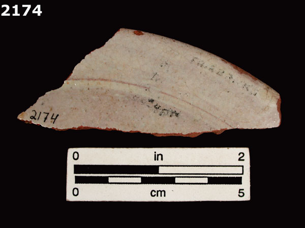 PANAMA PLAIN specimen 2174 rear view