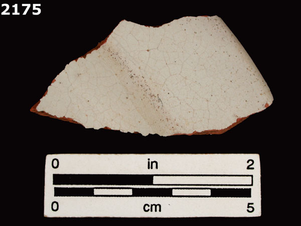 PANAMA PLAIN specimen 2175 