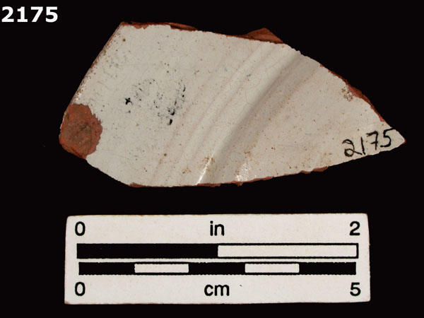 PANAMA PLAIN specimen 2175 rear view