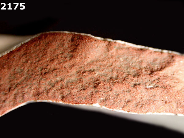 PANAMA PLAIN specimen 2175 side view