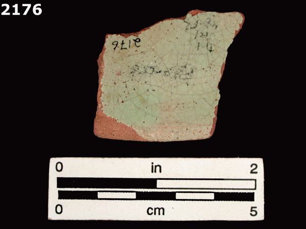 PANAMA PLAIN specimen 2176 rear view