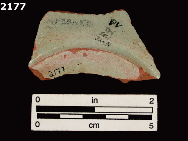 PANAMA PLAIN specimen 2177 rear view