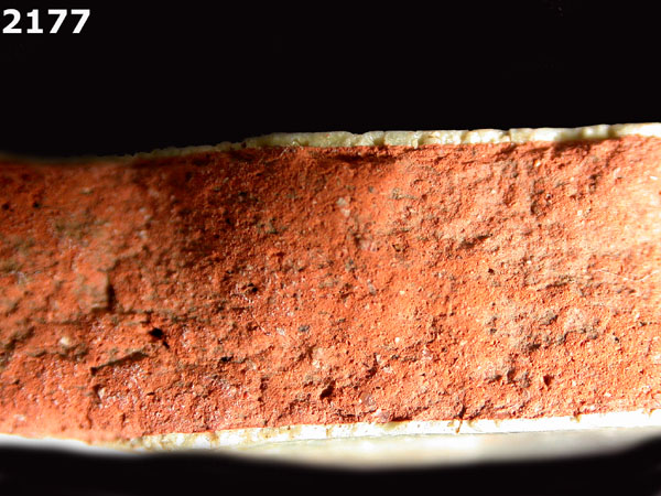 PANAMA PLAIN specimen 2177 side view