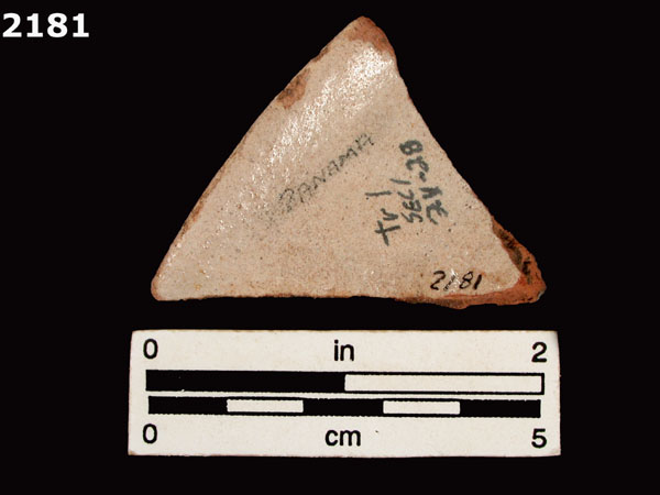 PANAMA POLYCHROME-TYPE A specimen 2181 rear view