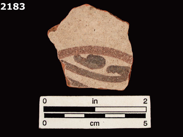 PANAMA POLYCHROME-TYPE A specimen 2183 