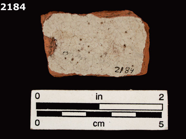 PANAMA POLYCHROME-TYPE A specimen 2184 rear view