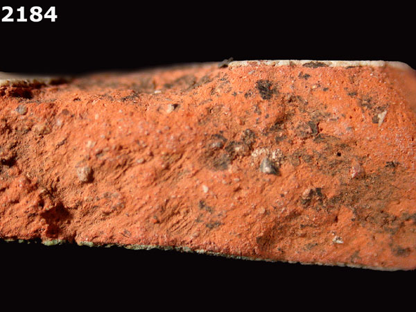 PANAMA POLYCHROME-TYPE A specimen 2184 side view