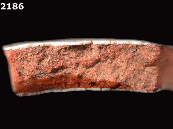 PANAMA POLYCHROME-TYPE A specimen 2186 side view