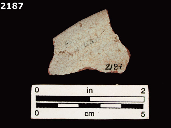 PANAMA POLYCHROME-TYPE A specimen 2187 rear view